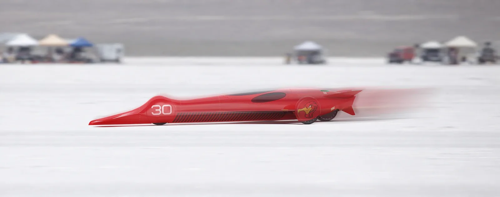 Speed Record Cormorant
