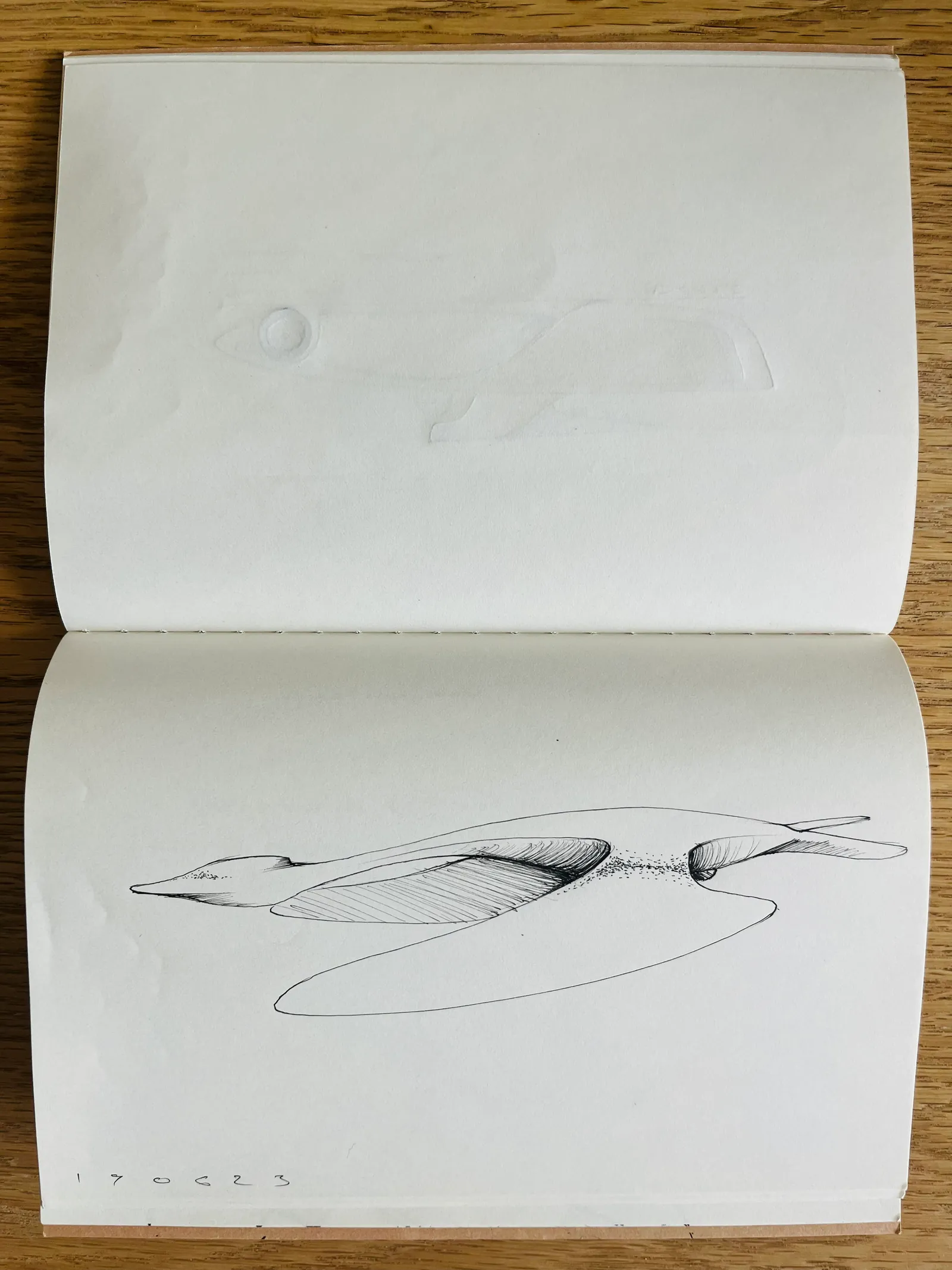 Sketchbook study: Labud, a swan form
