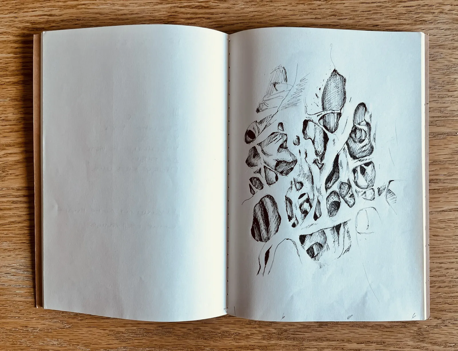 Sketchbook spread of organic form studies