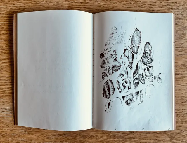 Sketchbook spread of organic form studies