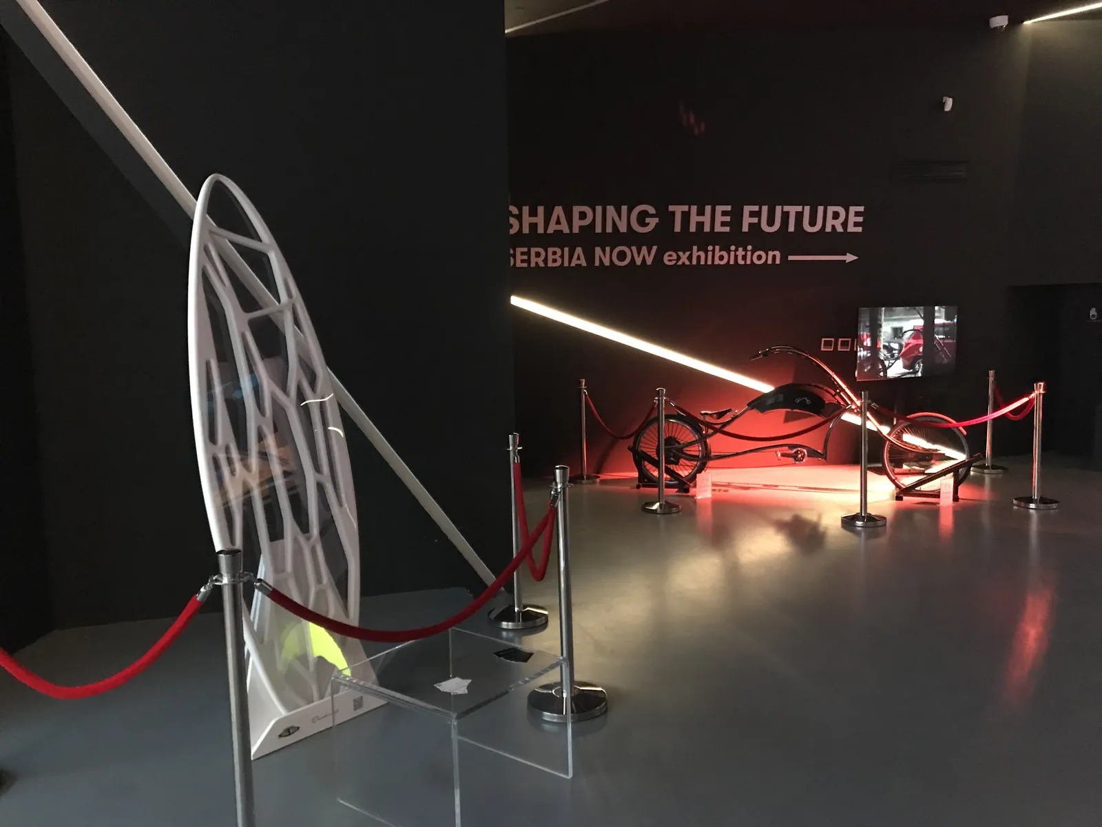On display at the Expo 2020 Serbian Pavilion, Dubai